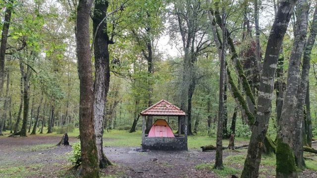 park-nor-01