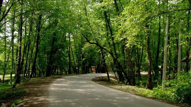 park-nor-02